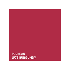 Purebeau BURGUNDY Pigment Buze Micropigmentare 3ml/5ml/10ml, image , 2 image