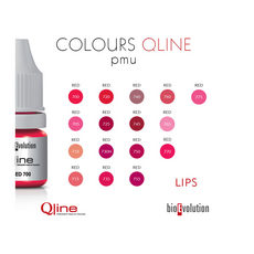 Bioevolution RED 730 N Organic Pigment Buze Micropigmentare 5ml, image , 6 image