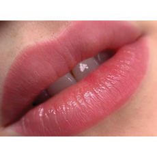 iColor STYLISH NUDE Pigment Buze Reach Micropigmentare 10ml, image , 2 image