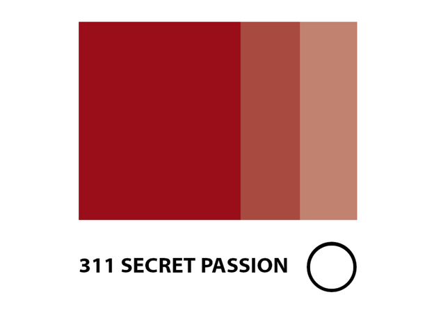 Doreme SECRET PASSION Pigment Lichid Buze Micropigmentare 15ml, image , 2 image