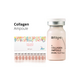 STAYVE Collagen Fiole, image  STAYVE Collagen Fiole, image